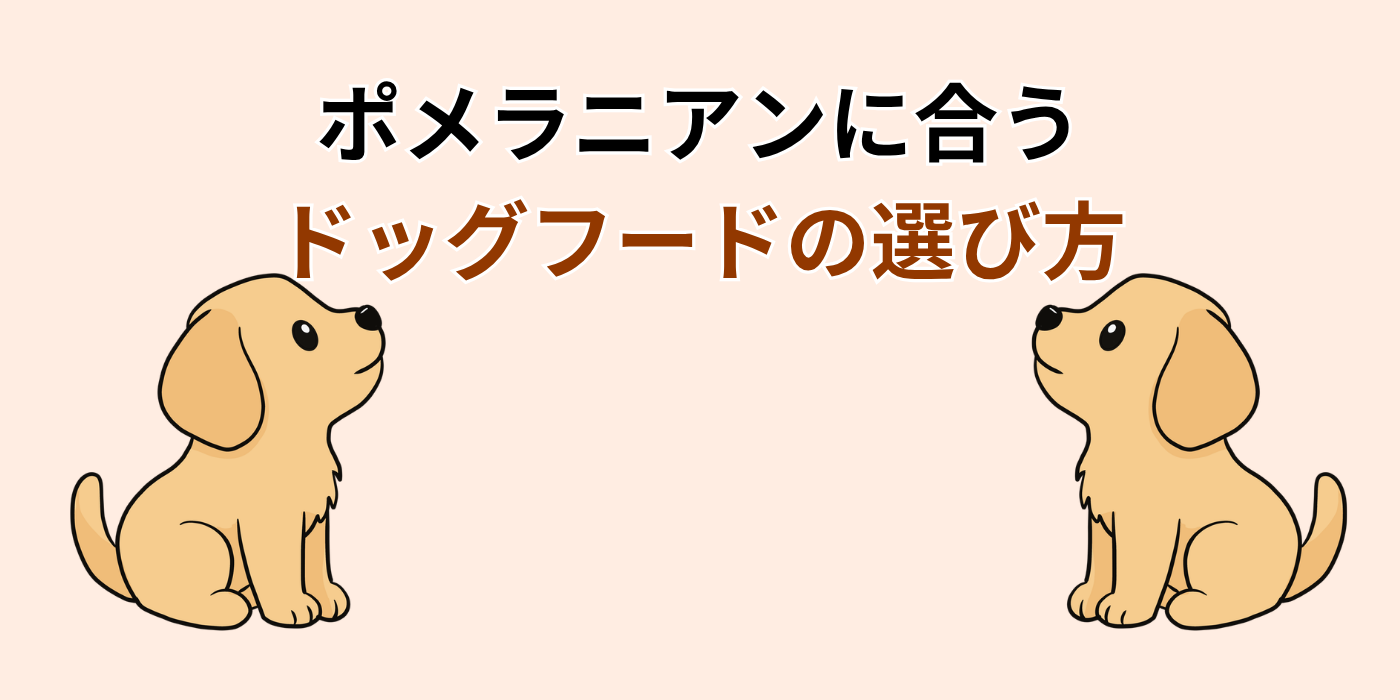 ポメラニアンに合う ドッグフードの選び方