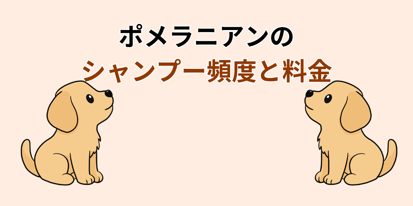 ポメラニアンの シャンプー頻度と料金