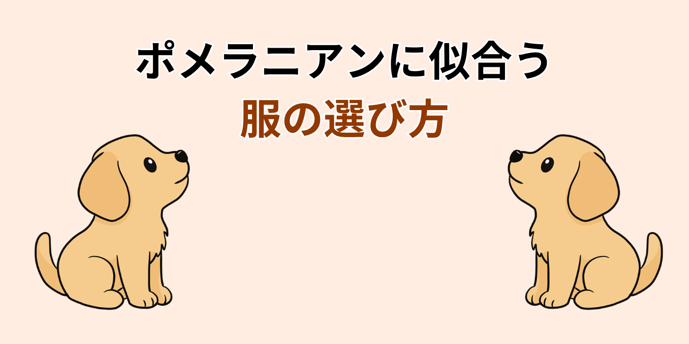 ポメラニアンに似合う 服の選び方