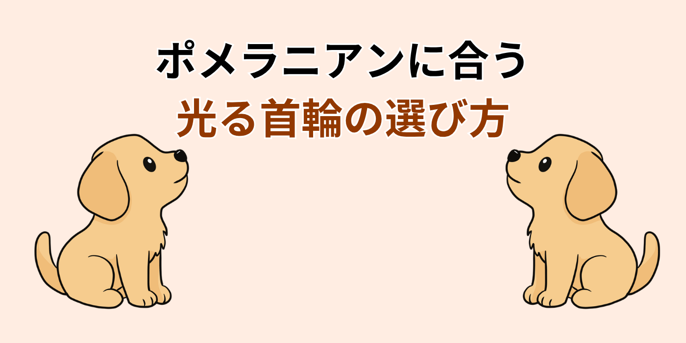 ポメラニアンに合う 光る首輪の選び方