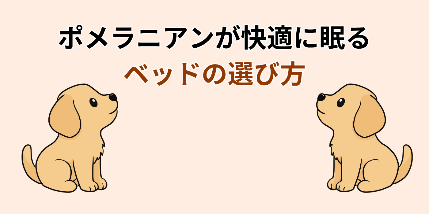 ポメラニアンが快適に眠る ベッドの選び方
