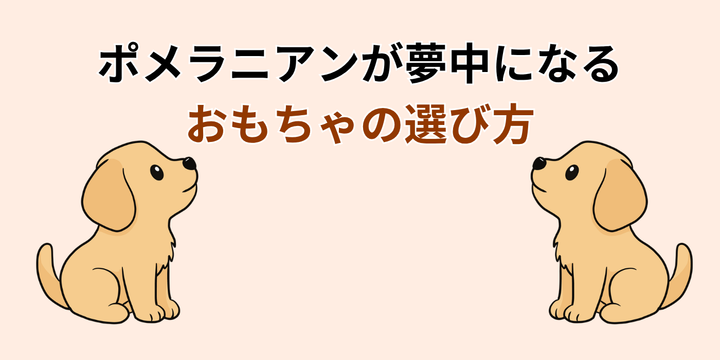 ポメラニアンが夢中になる おもちゃの選び方