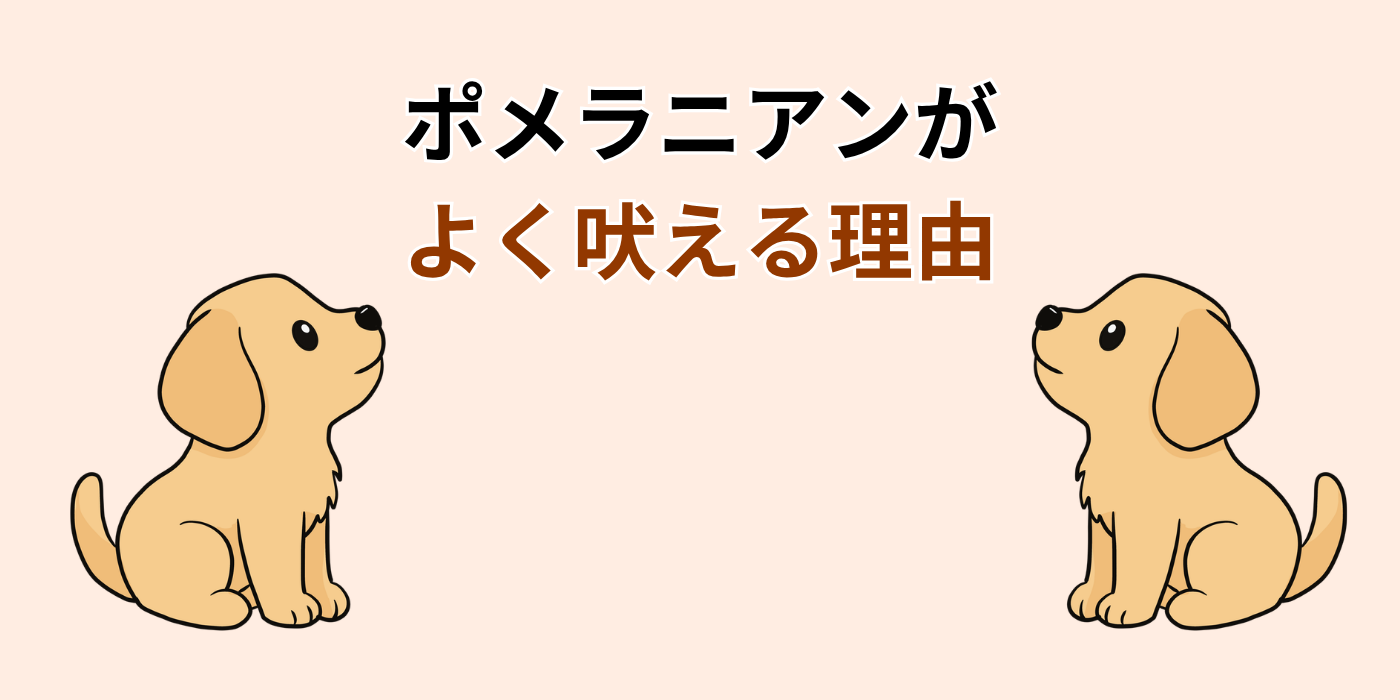 ポメラニアンが よく吠える理由