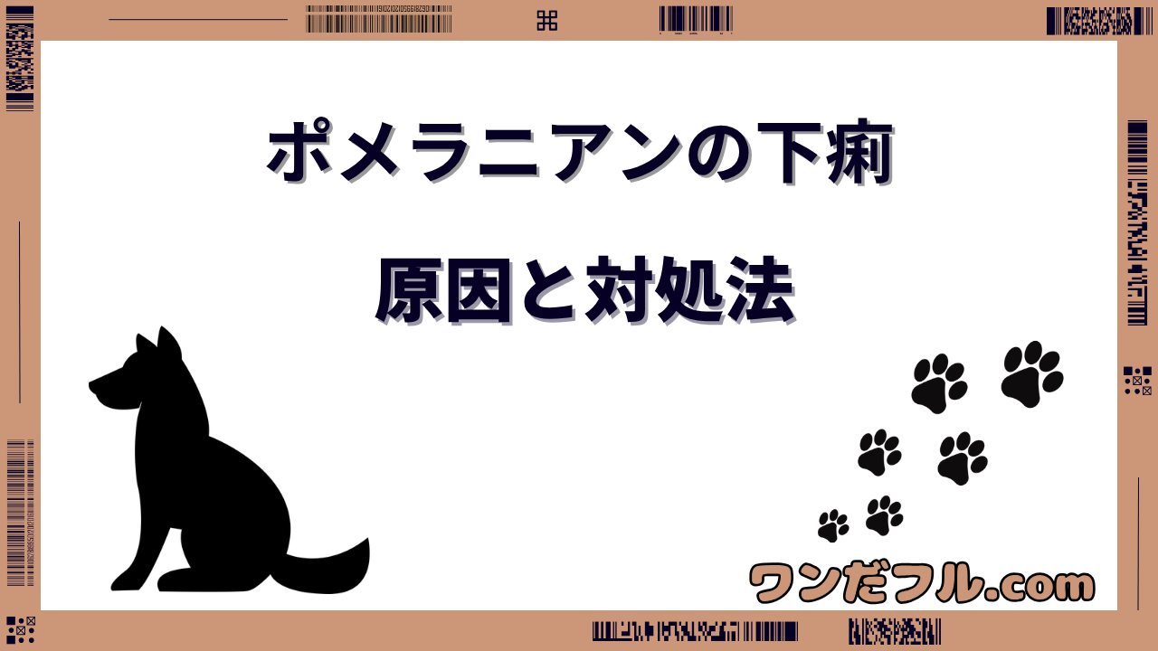 ポメラニアンの下痢の原因と対処法！病院に行く目安とお腹にやさしいフード