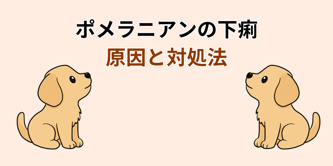 ポメラニアンの下痢 原因と対処法