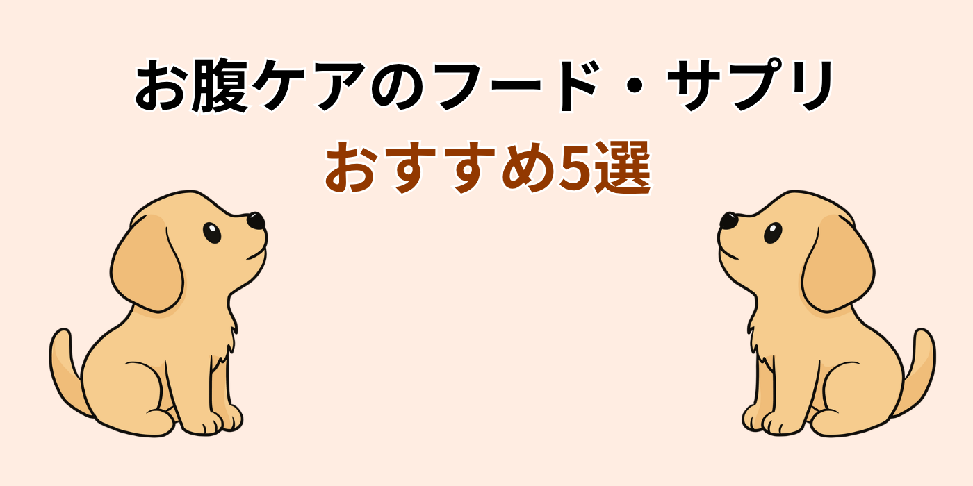 お腹ケアのフード・サプリ おすすめ5選
