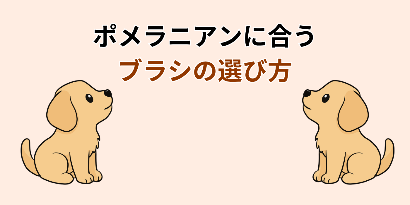 ポメラニアンに合う ブラシの選び方