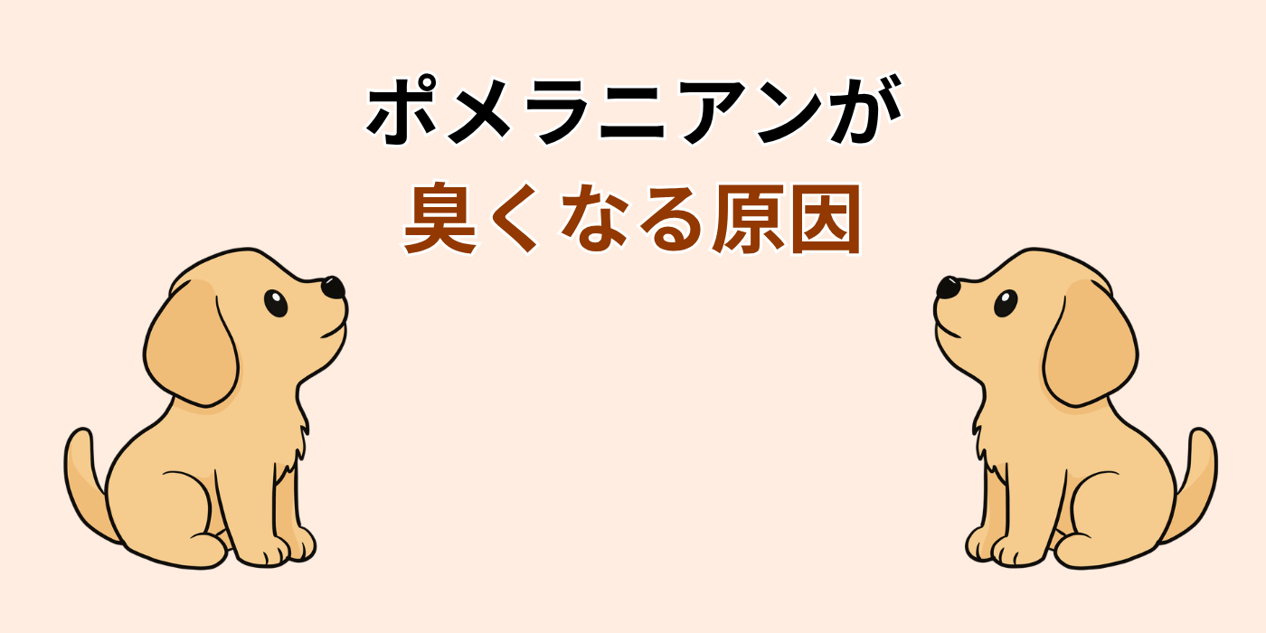 ポメラニアンが 臭くなる原因